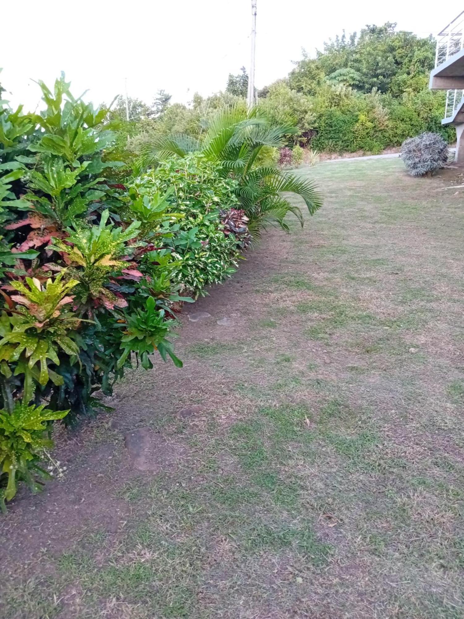 Serenity Seaview Suite Anse La Raye Bagian luar foto